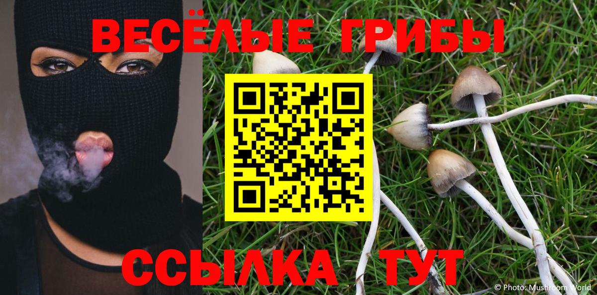 Псилоцибиновые грибы GOLDEN TEACHER Ефремов